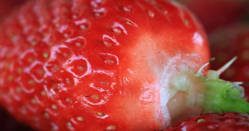 Gesunde Snacks fürs Büro: Einfach zuzubereiten und nahrhaft – so geht’s